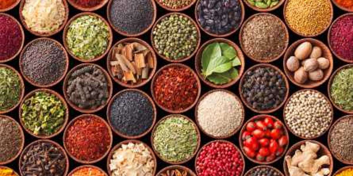 Key Egypt Herbs & Spices Market Players Revenue, Trends, Market Share Analysis, and Forecast to 2030