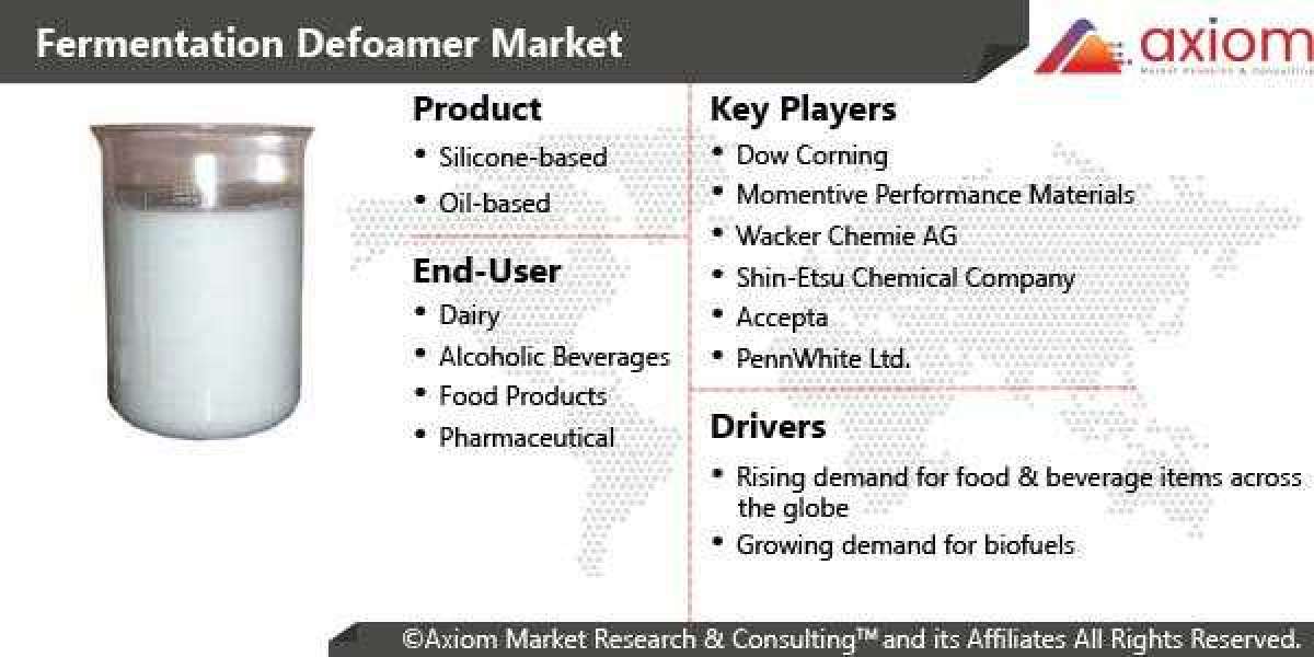 Fermentation Defoamer Market Report by Product and End User, Share, Trend Analysis, and Forecast 2019-2028