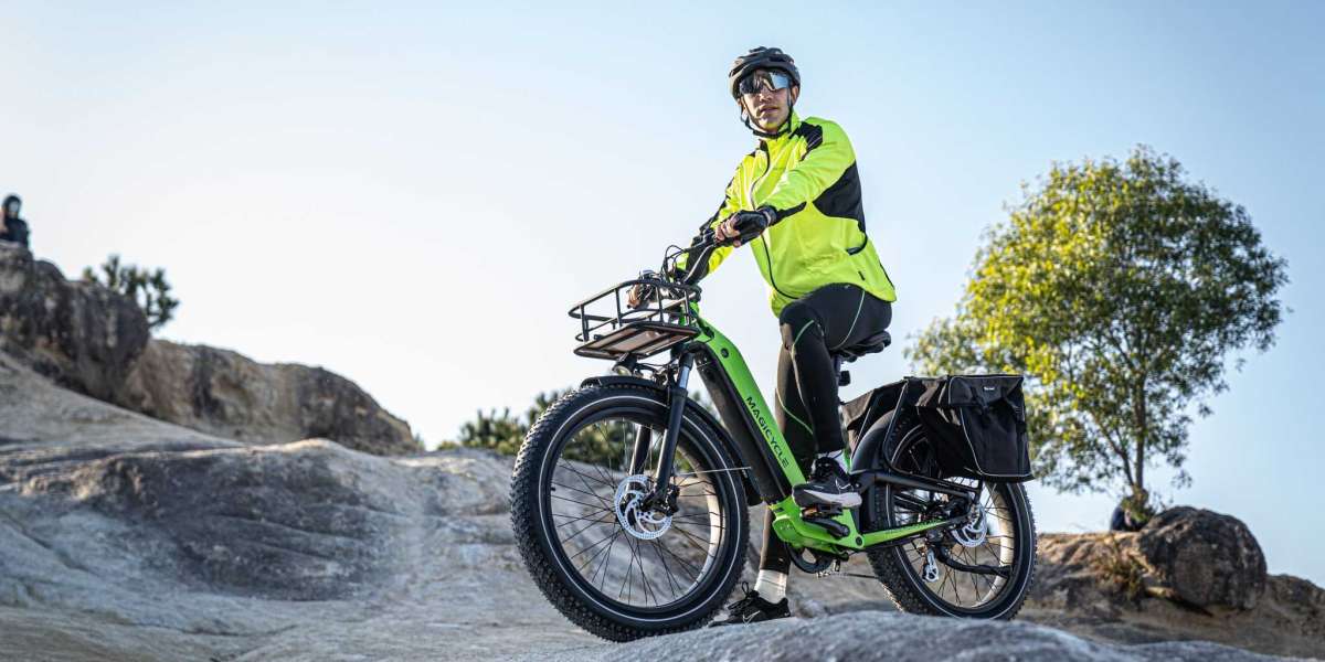 Everything you Need to Know How to Buy an Electric Mountain Bike