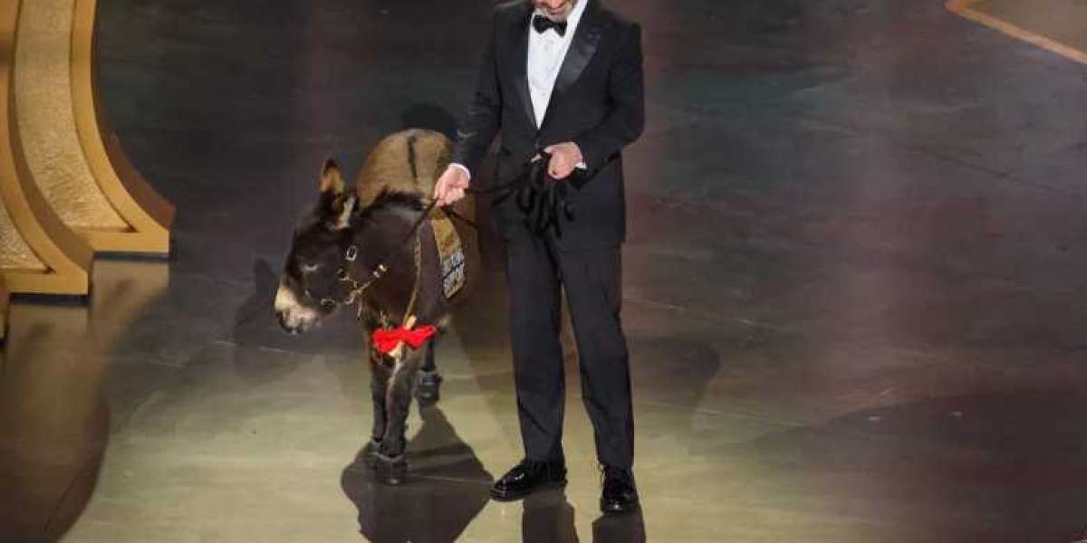 That Apparently Wasn't Actually Jenny the Donkey from "The Banshees of Inisherin" at the Oscars