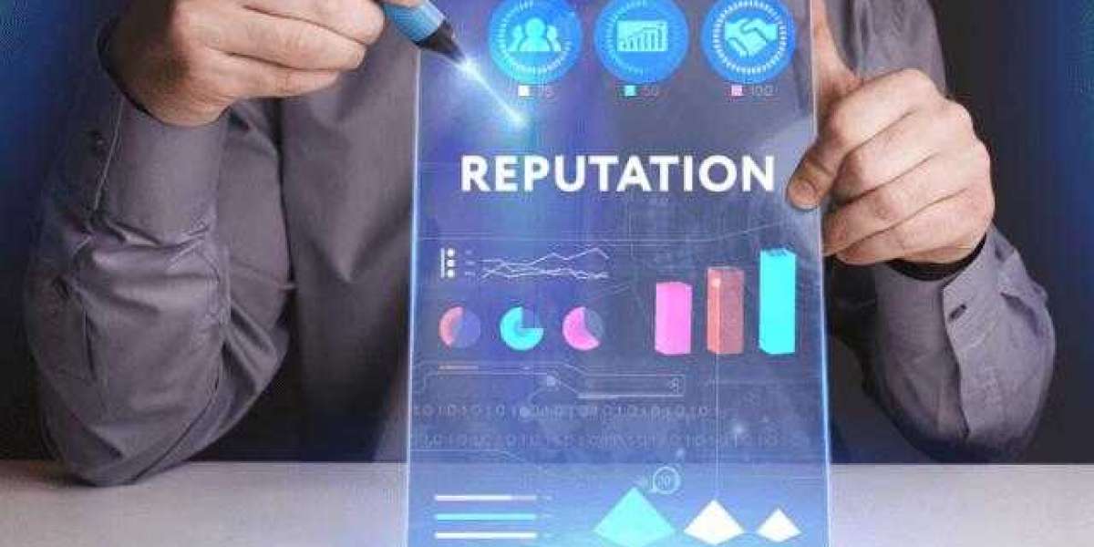 Online Reputation Management Software Market Expected to 2022-2030