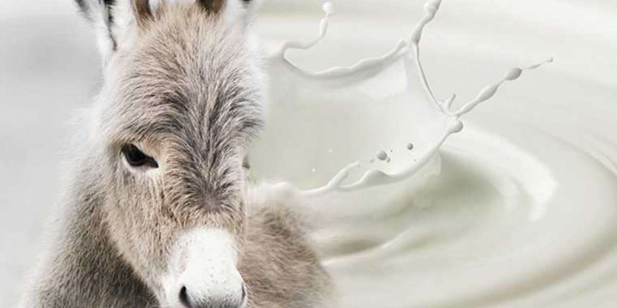 Donkey Milk Market Size, Trends, and Share Report