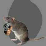 Una Rata Profile Picture