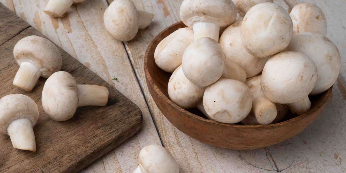 Button Mushroom Market Size, Share, Growth, Demand, Analysis