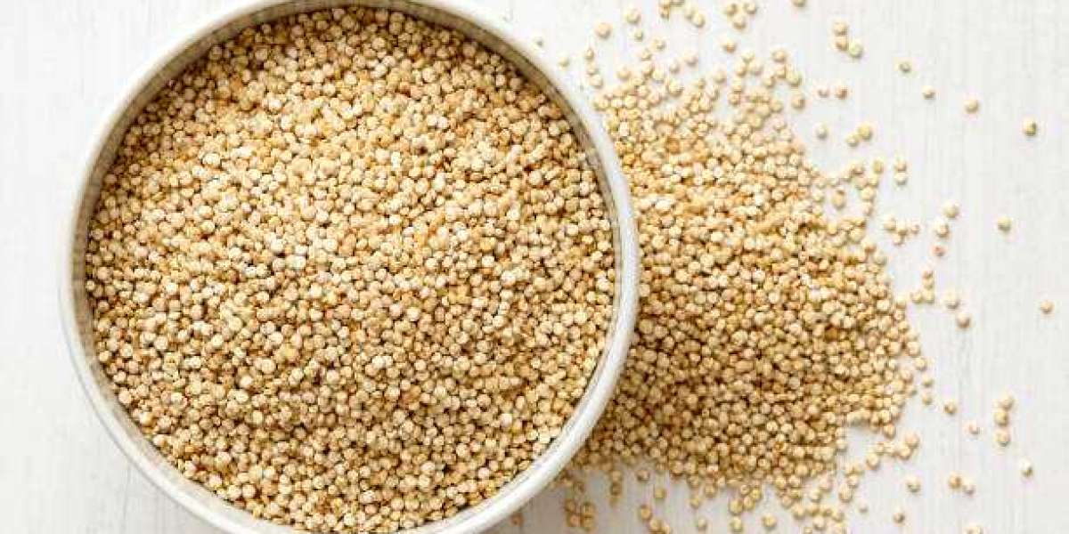 Quinoa Seeds Market Outlook, Revenue Share Analysis, Market Growth Forecast 2030