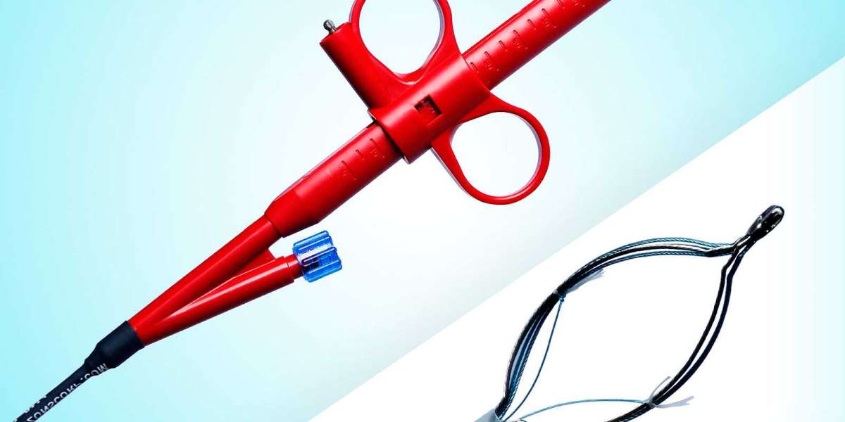 Biopsy Forceps, Polypectomy Snares and EUS Needles Market growth projection to 5.60% CAGR through 2033