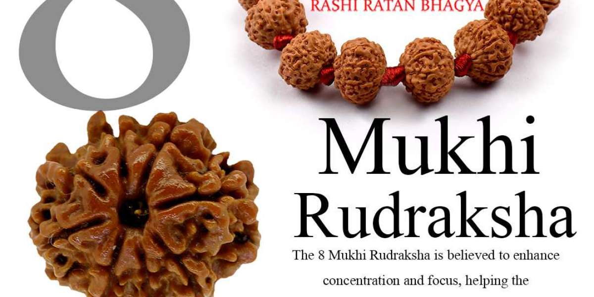 Get 8 Mukhi Rudraksha Online From Rashi Ratan Bhagya