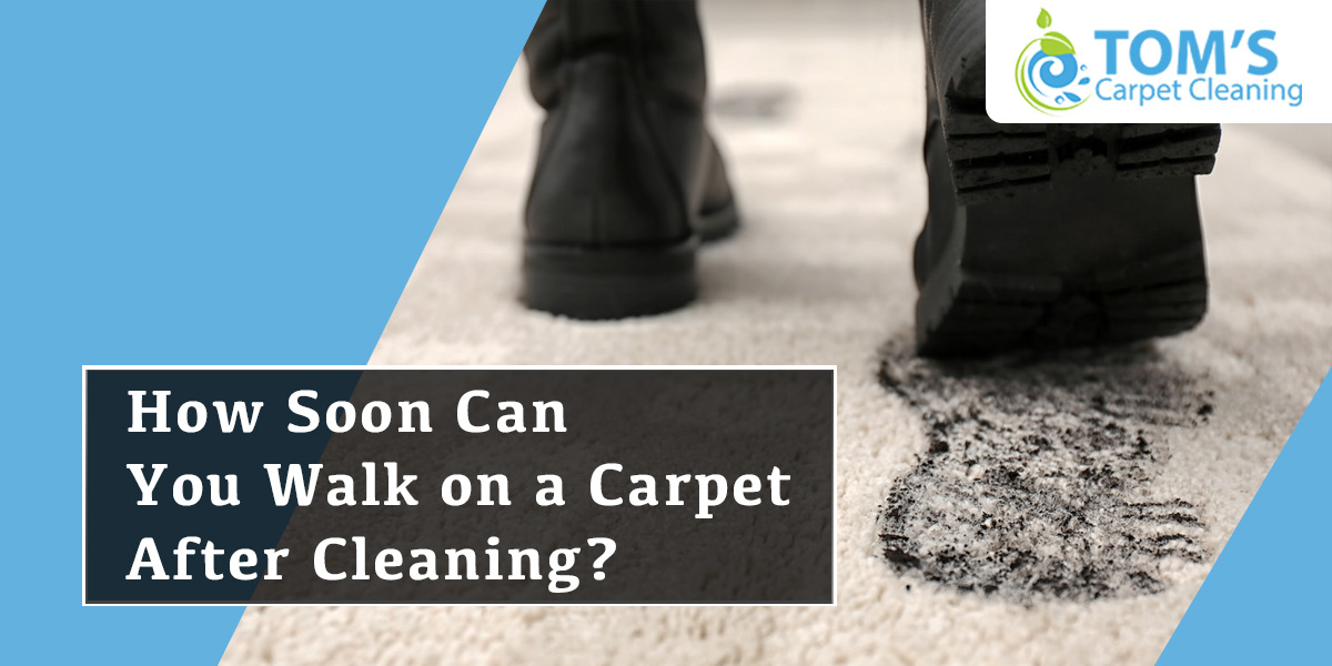 How Soon Can You Walk on a Carpet After Cleaning?