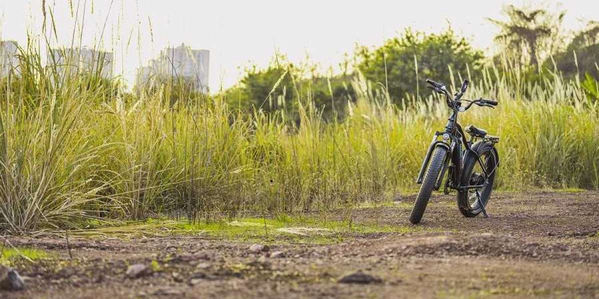Can you ride a fat tire ebike off-road?