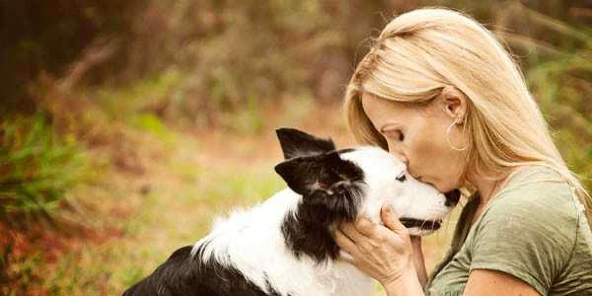 What is Animal Communication Healing Arts?