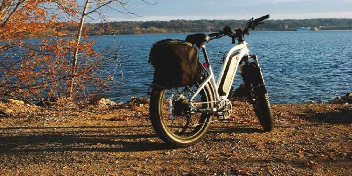 How Much Do Fat Tire Electric Bikes Weigh?
