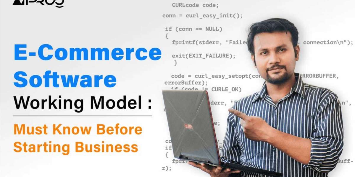 E-commerce Software Working Model: Must Know Before Starting Business
