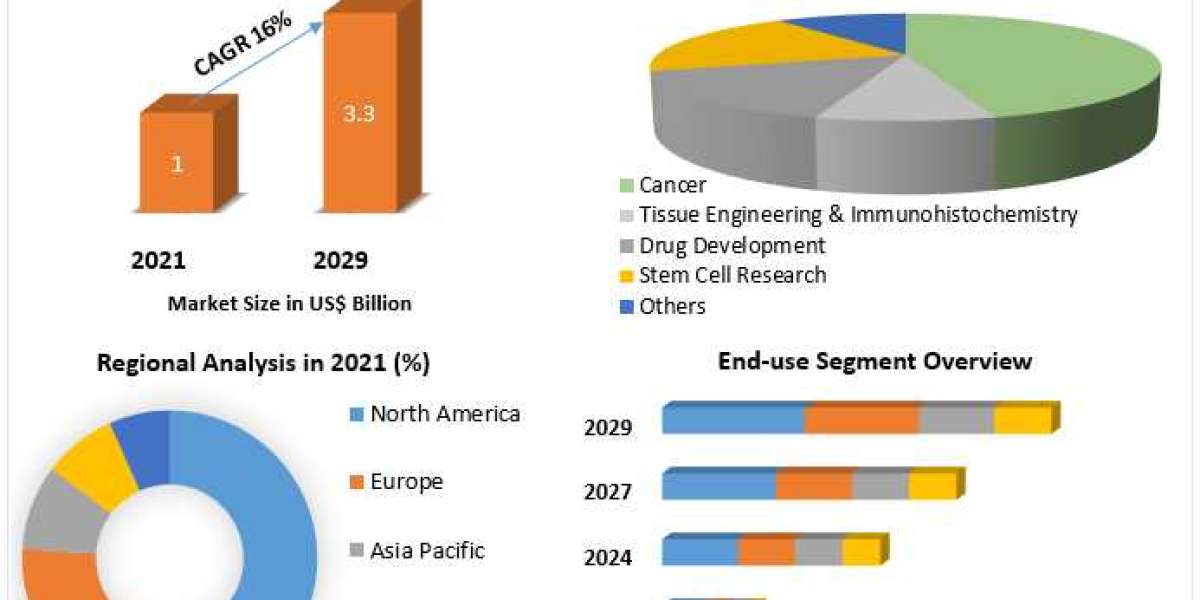 Three-dimensional cell culture Market Segmentation, Outlook, Industry Report to 2029