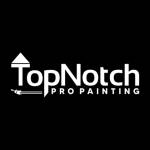 Top Notch Pro Painting
