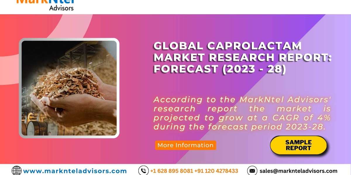 Global Caprolactam Market Size and Growth by 2028