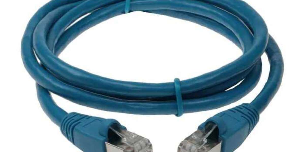 High-Quality CAT6A Shielded Cables for Superior Network Performance - SF Cable