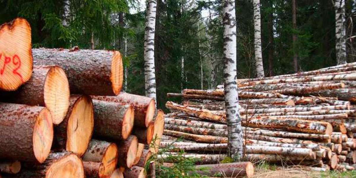 Forestry Software Market With Manufacturing Process and CAGR Forecast by 2033