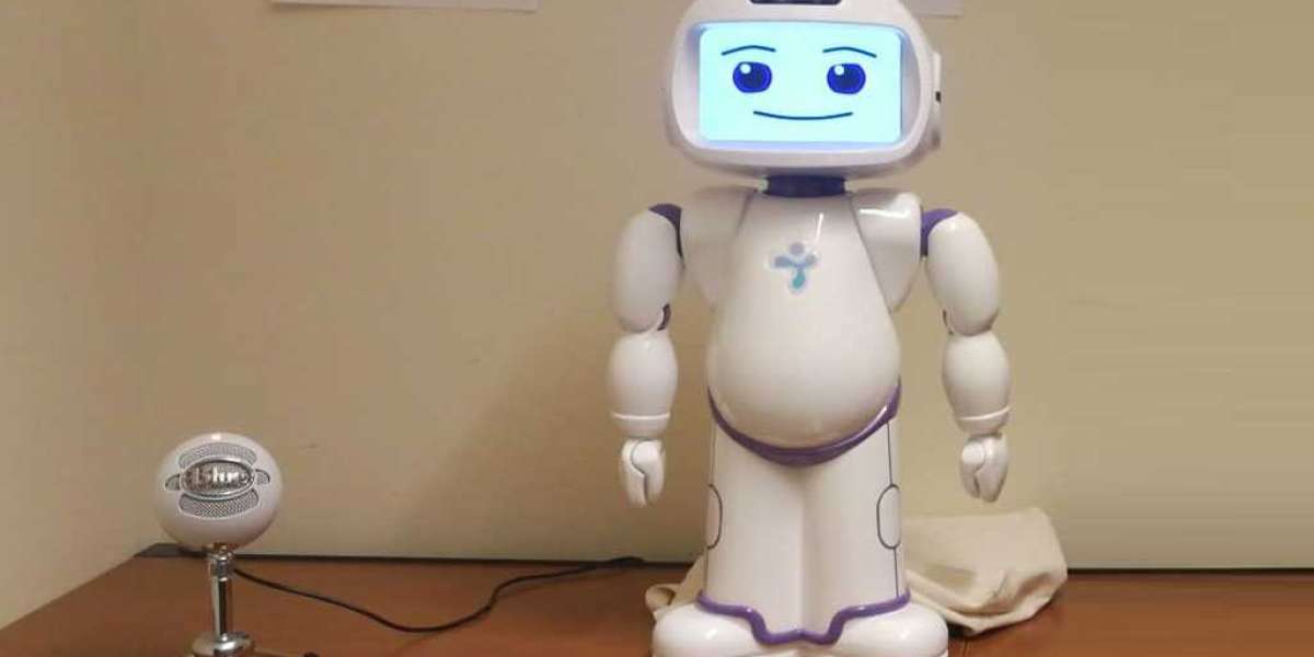 Socially Assistive Robots (SARs) Market size is expected to grow at a CAGR of 13.6% by 2033