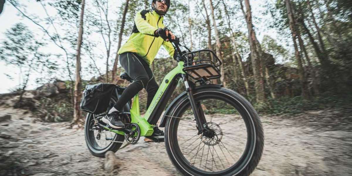 Full Suspension Electric Mountain Bike: Comparing Magicycle Deer Against Focus Thron 6.8