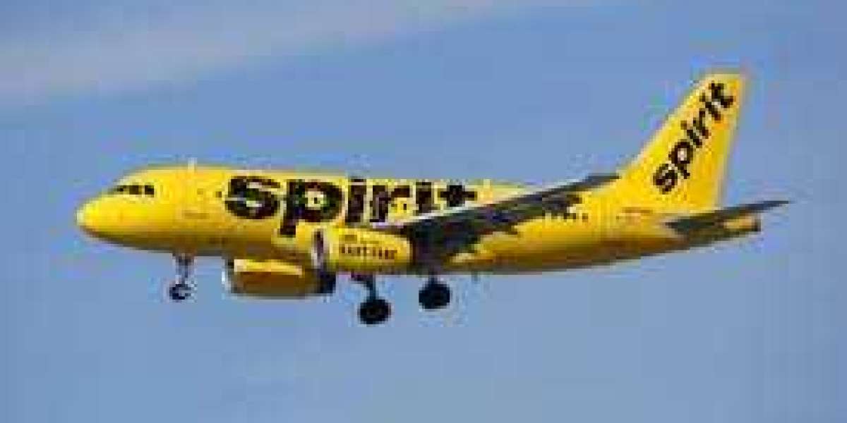 Does Spirit Refund for the Canceled Flights?