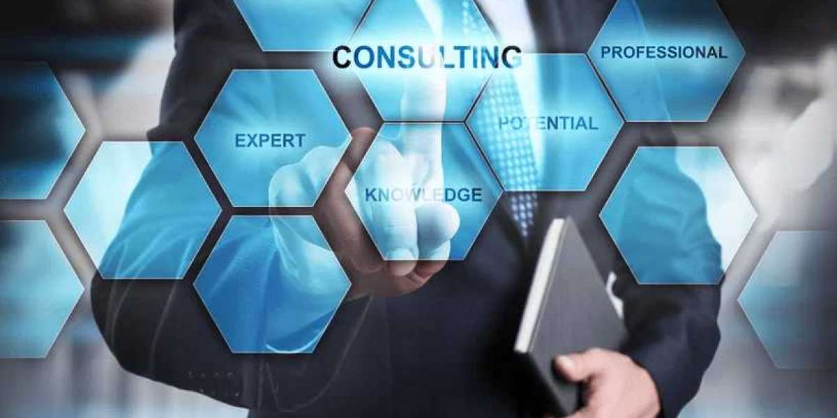 IT OUTSOURCING/ CONSULTATION / ADVISORY