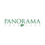 Panorama Tree Care Tampa Tree Services