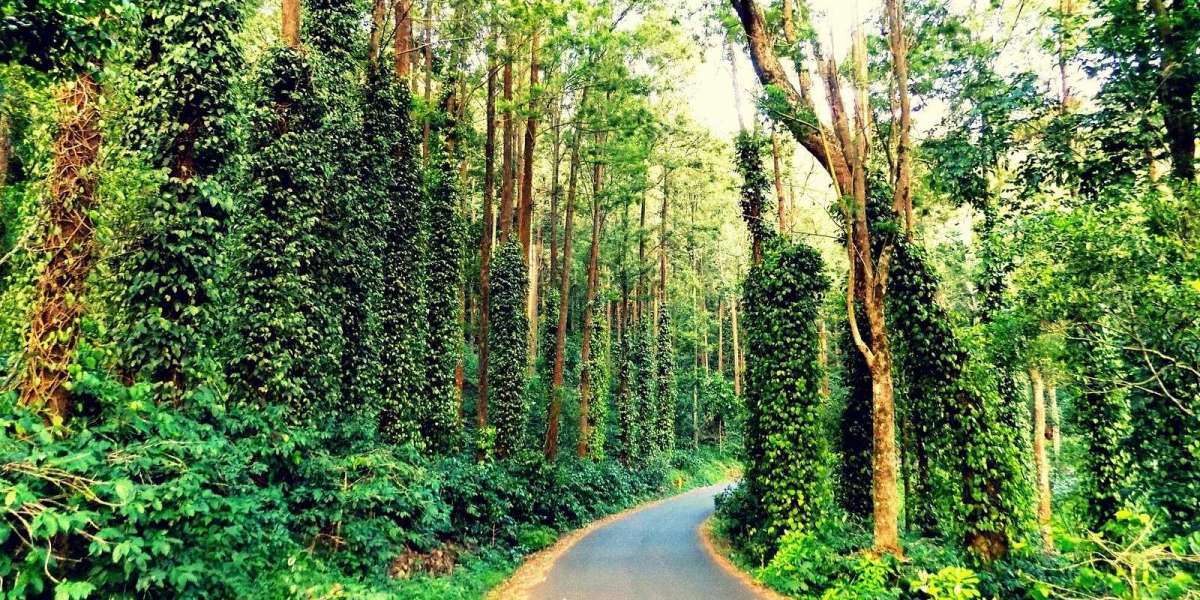 How to find good cottages in Yercaud for family