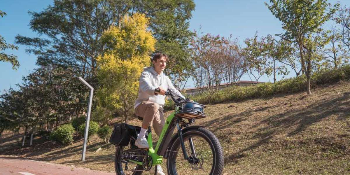 What’s Special About Softail Electric Bikes?
