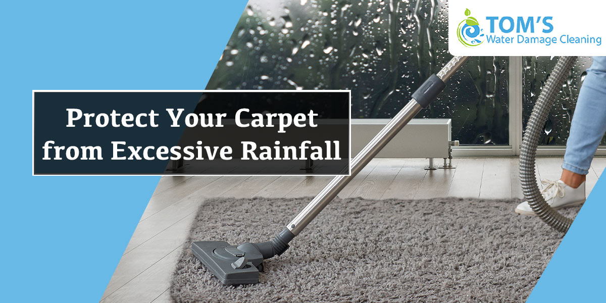 Protect Your Carpet from Excessive Rainfall
