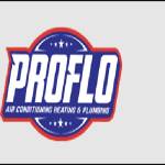 ProFlo Air Conditioning Heating and Plumbing  Canyon Lake Profile Picture