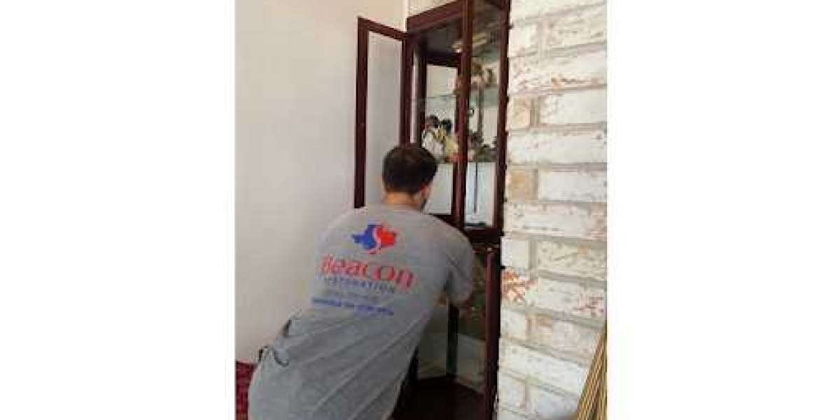 Uncovering the Risks of Mold Growth in Your Home By Mold Inspection And Testing