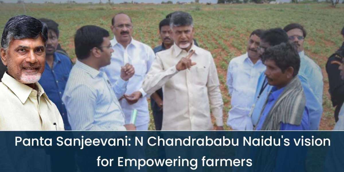 Panta Sanjeevani: N Chandrababu Naidu's vision for Empowering farmers