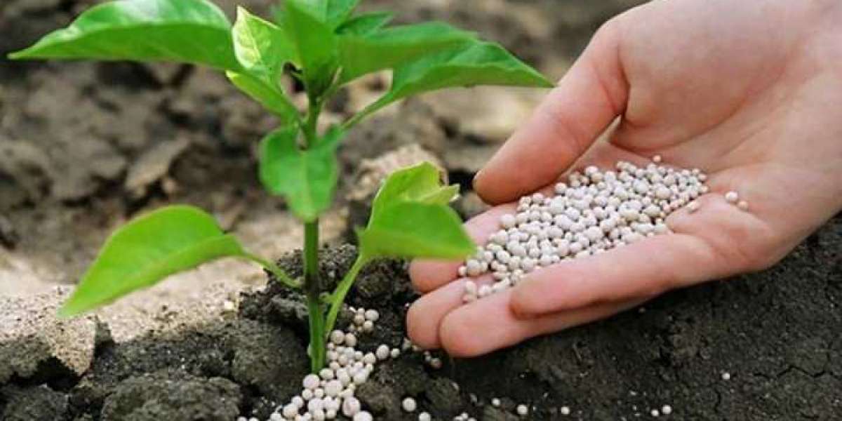 Agricultural Micronutrients Market Worth US$ 7,808.9 million by 2030