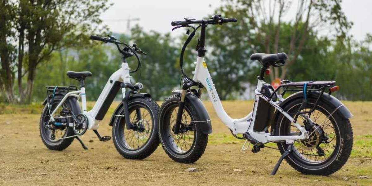 Are Folding Electric Bikes Worth It?