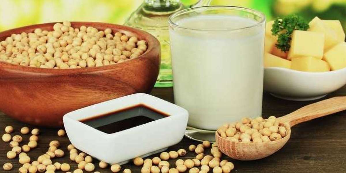 Soybean Derivatives Market size is expected to grow to USD 529.1 billion by 2033