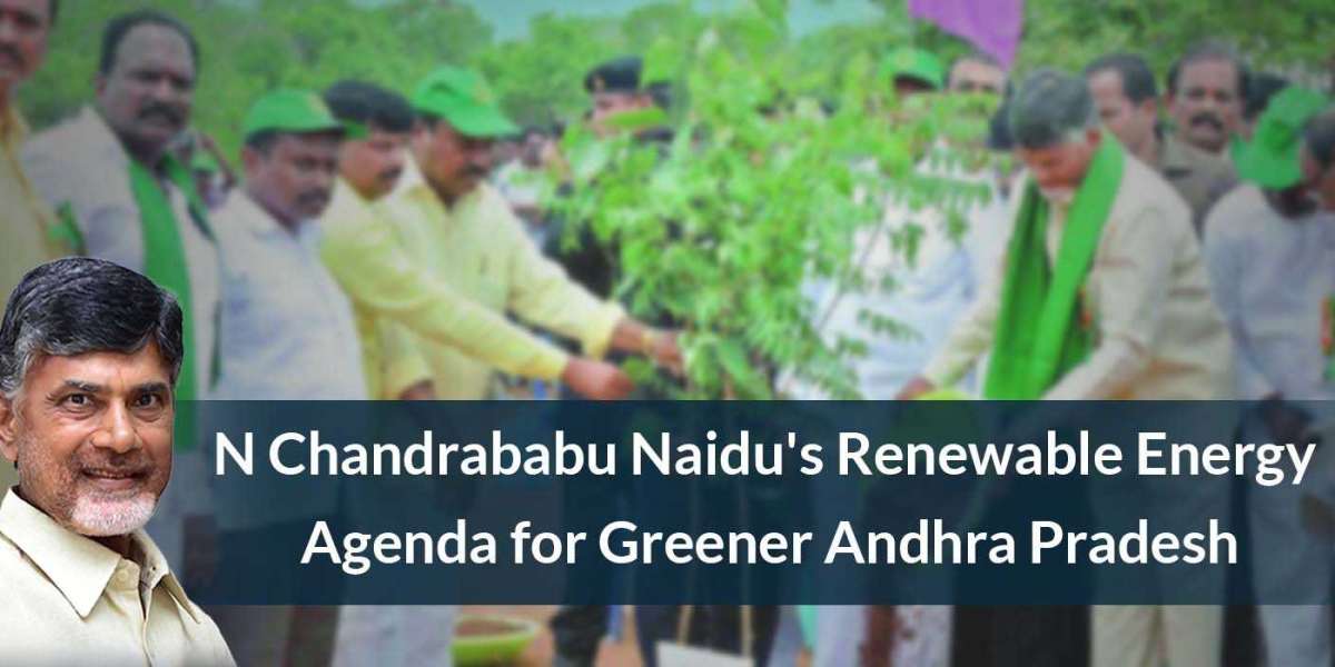 N Chandrababu Naidu's Renewable Energy Agenda for Greener Andhra Pradesh