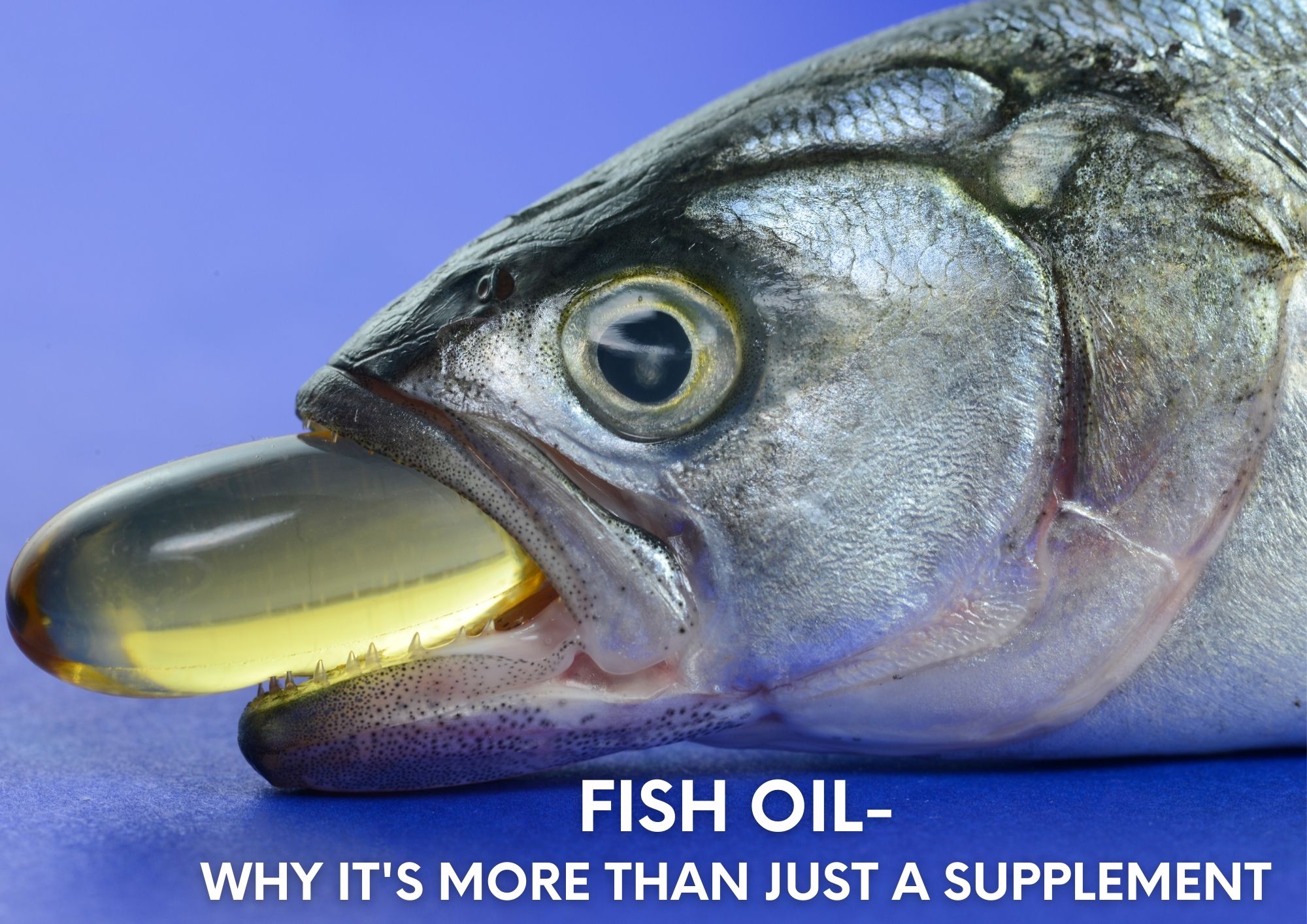 Fish Oil-Why It's More Than Just A Supplement - Article Hub