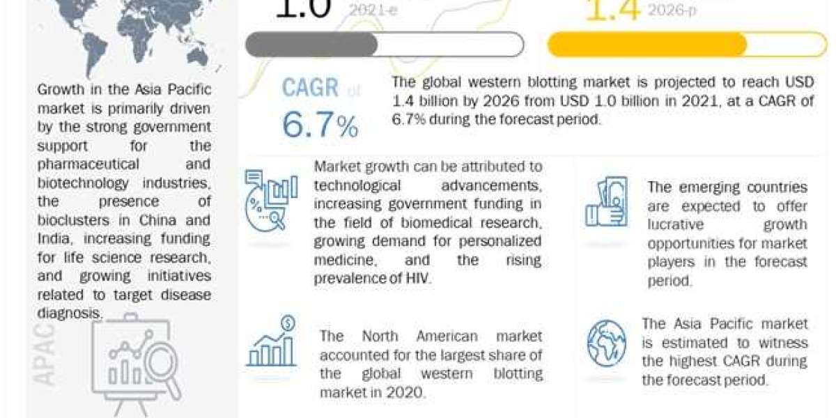 Western Blotting Market Booming with New Opportunities