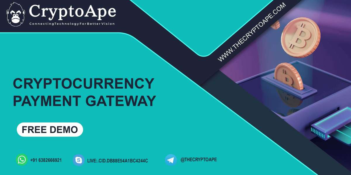 Developing a Crypto Payment Gateway: A Roadmap to Success