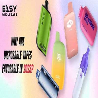 Why Are Disposable Vapes Favorable in 2023? Profile Picture