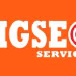 Big Seo Services