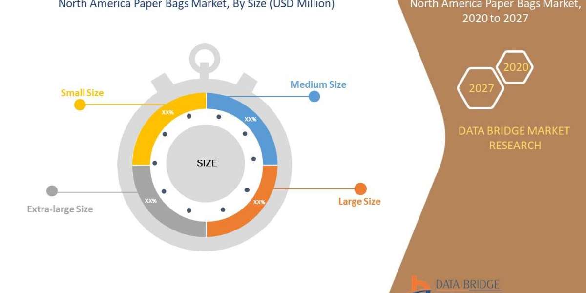 North America Paper Bags Market Key Highlights, Additional Opportunities gaining Insights and Forecasts Report 2029