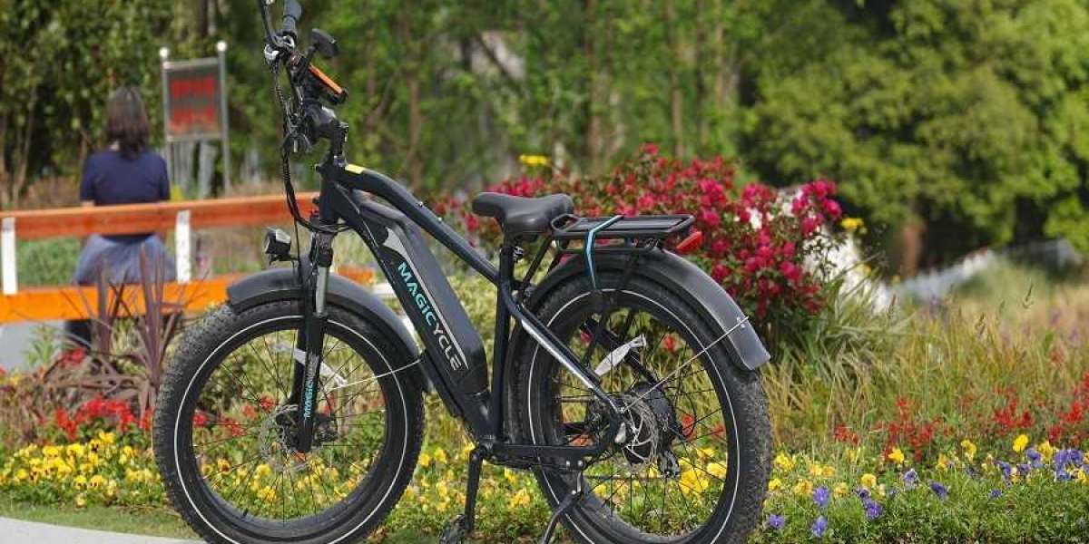 How To Choose The Fastest Electric Bike?