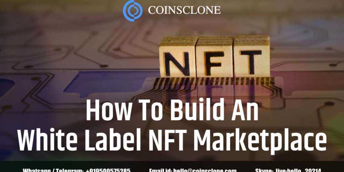 Why entrepreneurs prefer white label NFT marketplace platform?