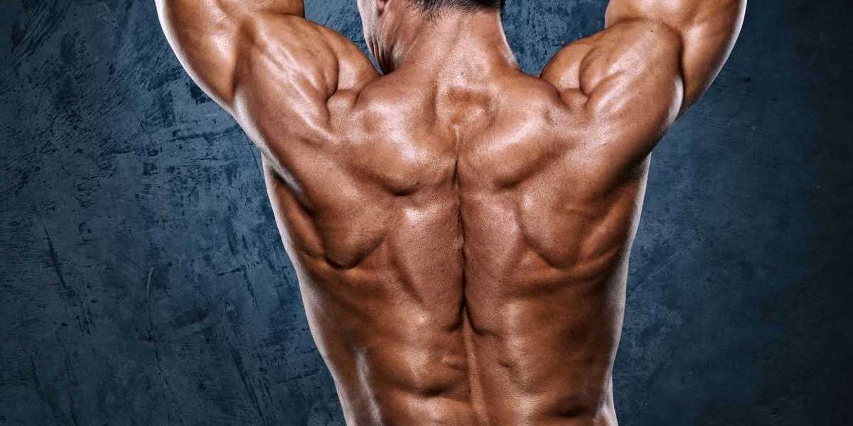 Understanding the Duration of Steroids in Your Body