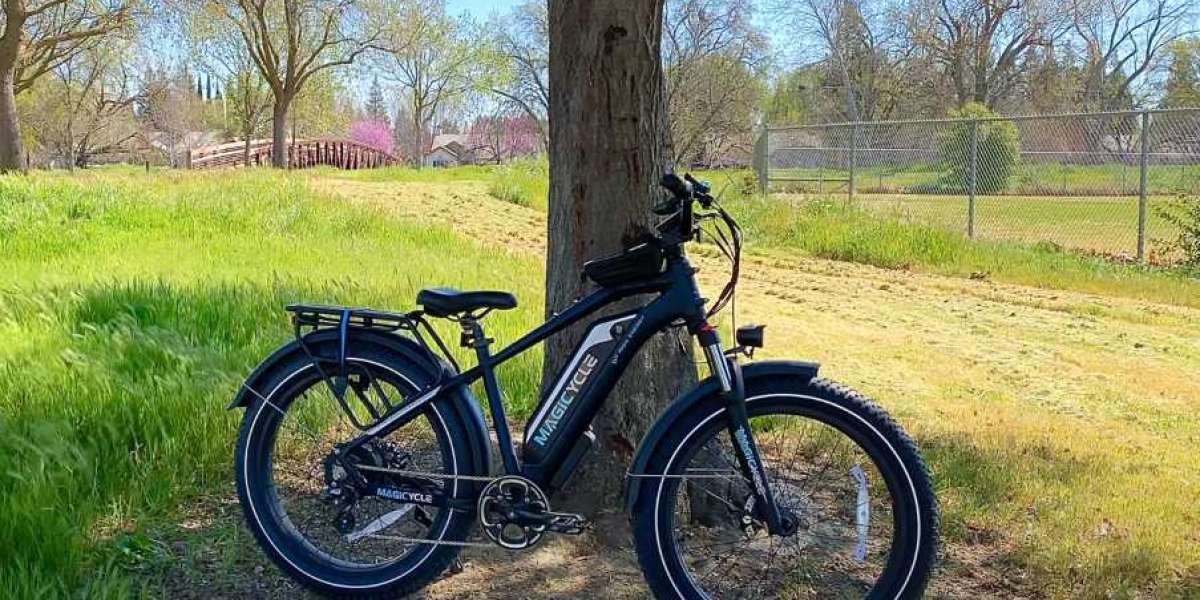 Which Is The Best Fat Tire Ebike for Value for Money?