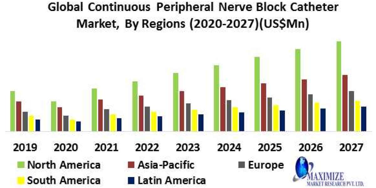 Continuous Peripheral Nerve Block Catheter Market Size, Share, Comprehensive Research Study, Future Plans, Competitive L