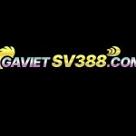 Gà Việt Sv388 Profile Picture