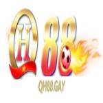 QH88 Gay Profile Picture