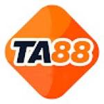 TA88 Cam